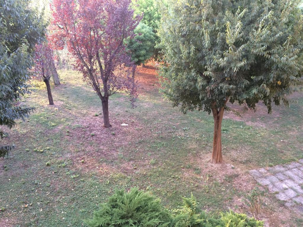 Bed & Breakfast Da Eliana Molinella Zewnętrze zdjęcie