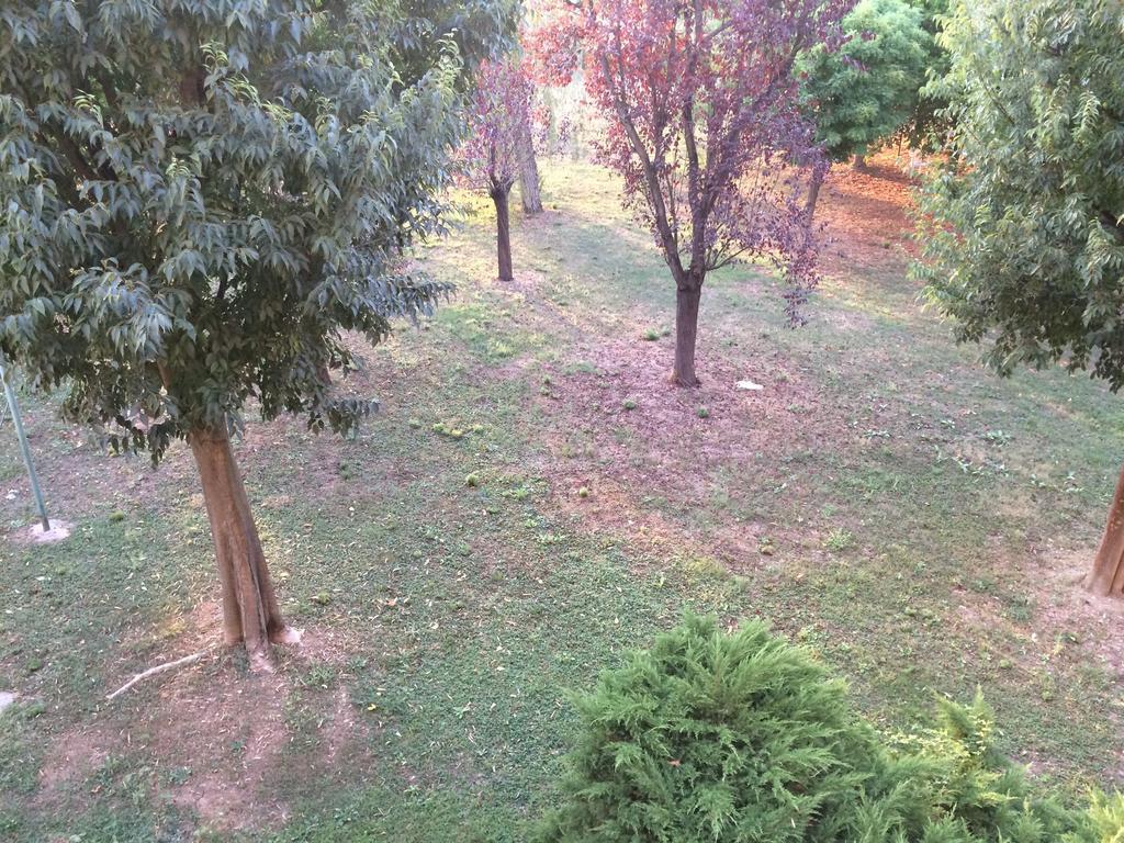 Bed & Breakfast Da Eliana Molinella Zewnętrze zdjęcie